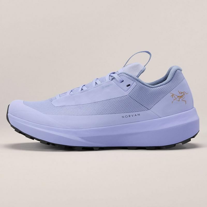 Arc'teryx Chaussures de course sur sentier Norvan LD 4 GTX pour femmes