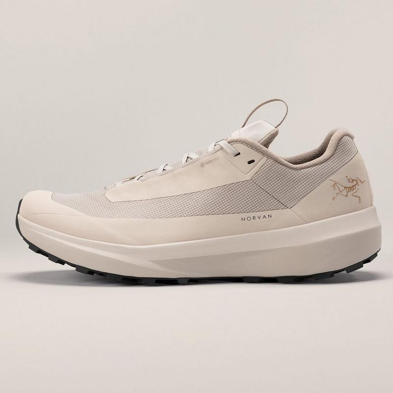 Arc'teryx Chaussures de course sur sentier Norvan LD 4 GTX pour hommes