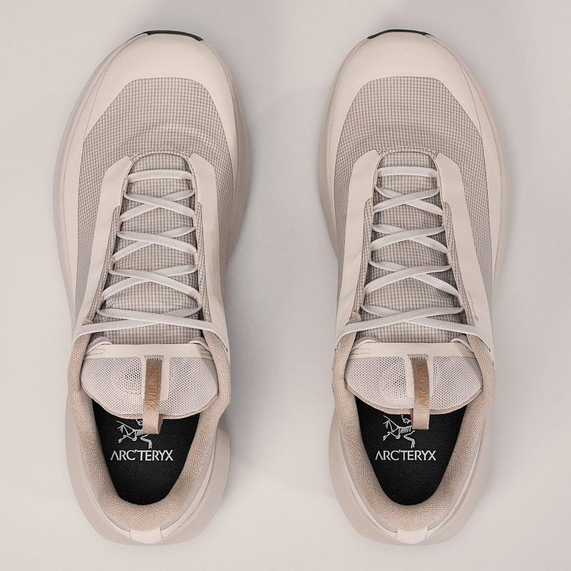 Arc'teryx Chaussures de course sur sentier Norvan LD 4 GTX pour hommes