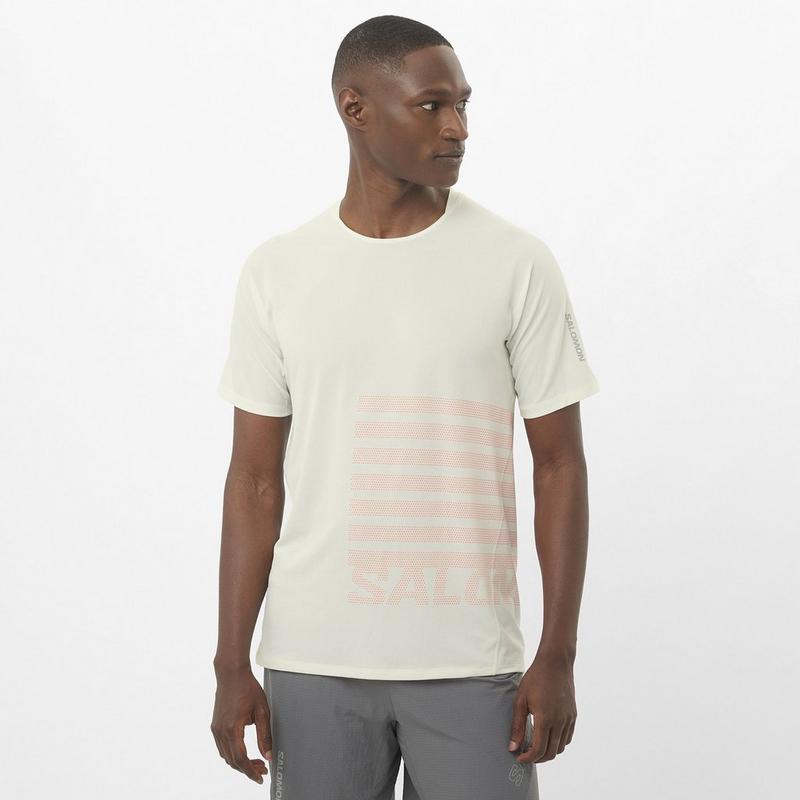 Salomon Men's Sense Aero Graphic Short Sleeve Top