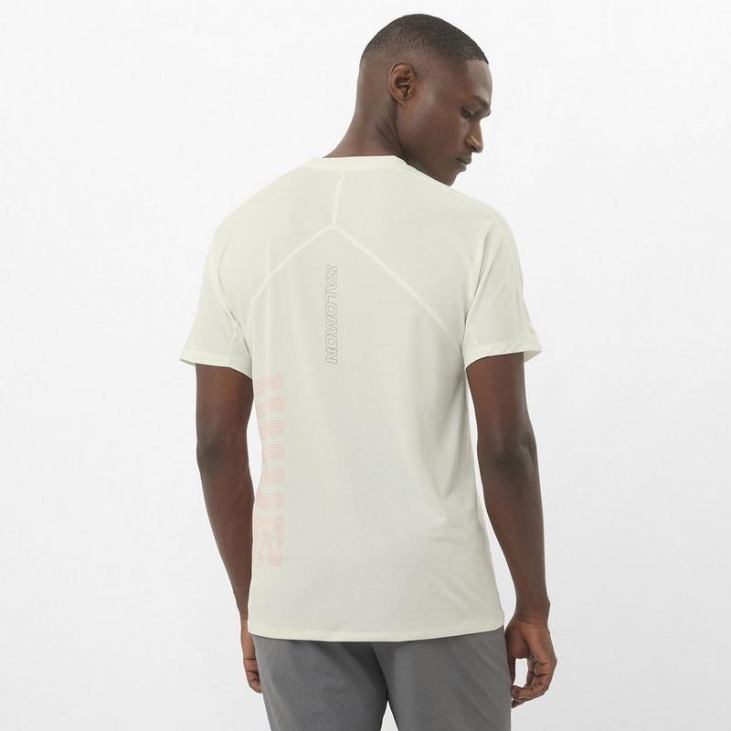 Salomon Men's Sense Aero Graphic Short Sleeve Top