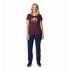 Women s Leslie Falls  x2122  II Pant