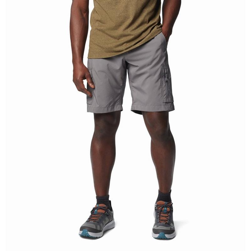 Columbia Short cargo utilitaire Silver Ridge™ pour hommes