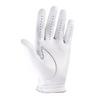 Men s StaSof Golf Glove  Regular Right 