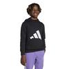 Juniors   8-16  Essentials Hoodie