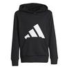 Juniors   8-16  Essentials Hoodie