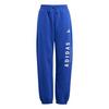 Pantalon ALL SZN GFX pour juniors  8-16 