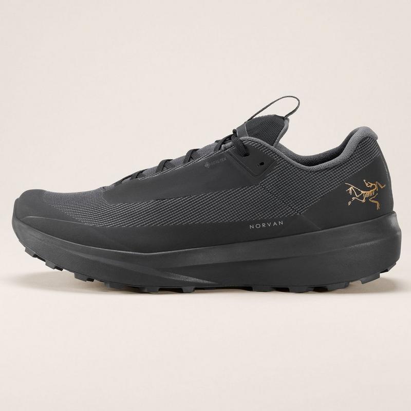 Arc'teryx Chaussures de course sur sentier Norvan LD 4 GTX pour hommes