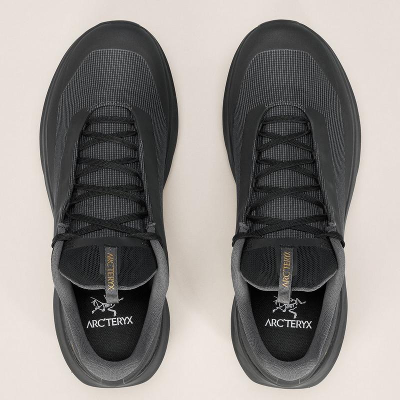 Arc'teryx Chaussures de course sur sentier Norvan LD 4 GTX pour hommes