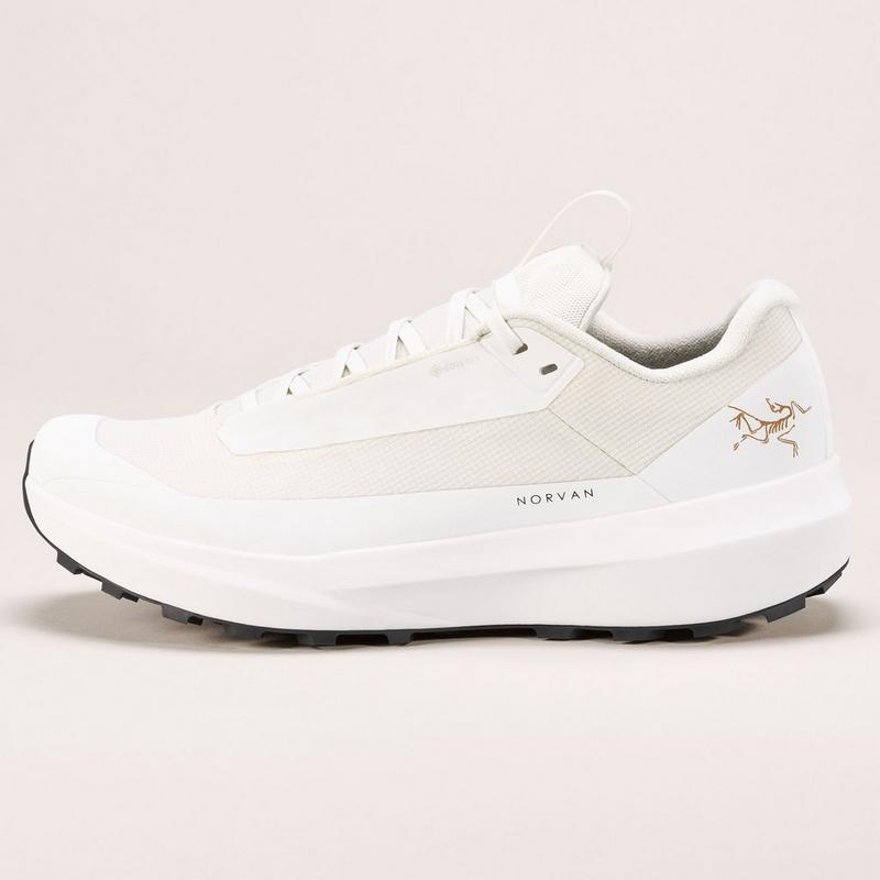 Arc'teryx Chaussures de course sur sentier Norvan LD 4 GTX pour femmes