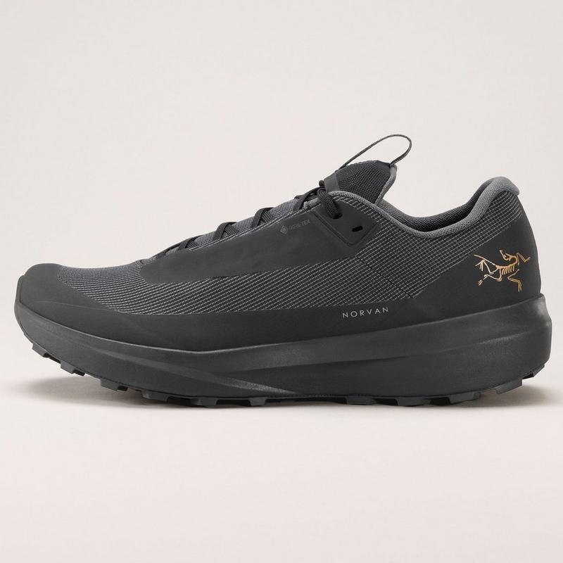 Arc'teryx Chaussures de course sur sentier Norvan LD 4 GTX pour femmes