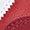 Red | Women's Samba Jane Shoe
