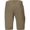 Men s Abisko Lite Short