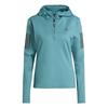 Women s Own The Run Winterized Hooded Half-Zip Top