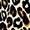 Wild Cat | Women's String Bikini Bottom