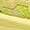 Neon Hoka Citrus/ Sunlight | Women's Clifton 10 Running Shoe
