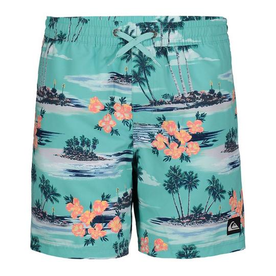 Quiksilver Junior Boys   8-16  Everyday Mix Volley Swim Trunk