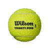 Balle de tennis Triniti Pro