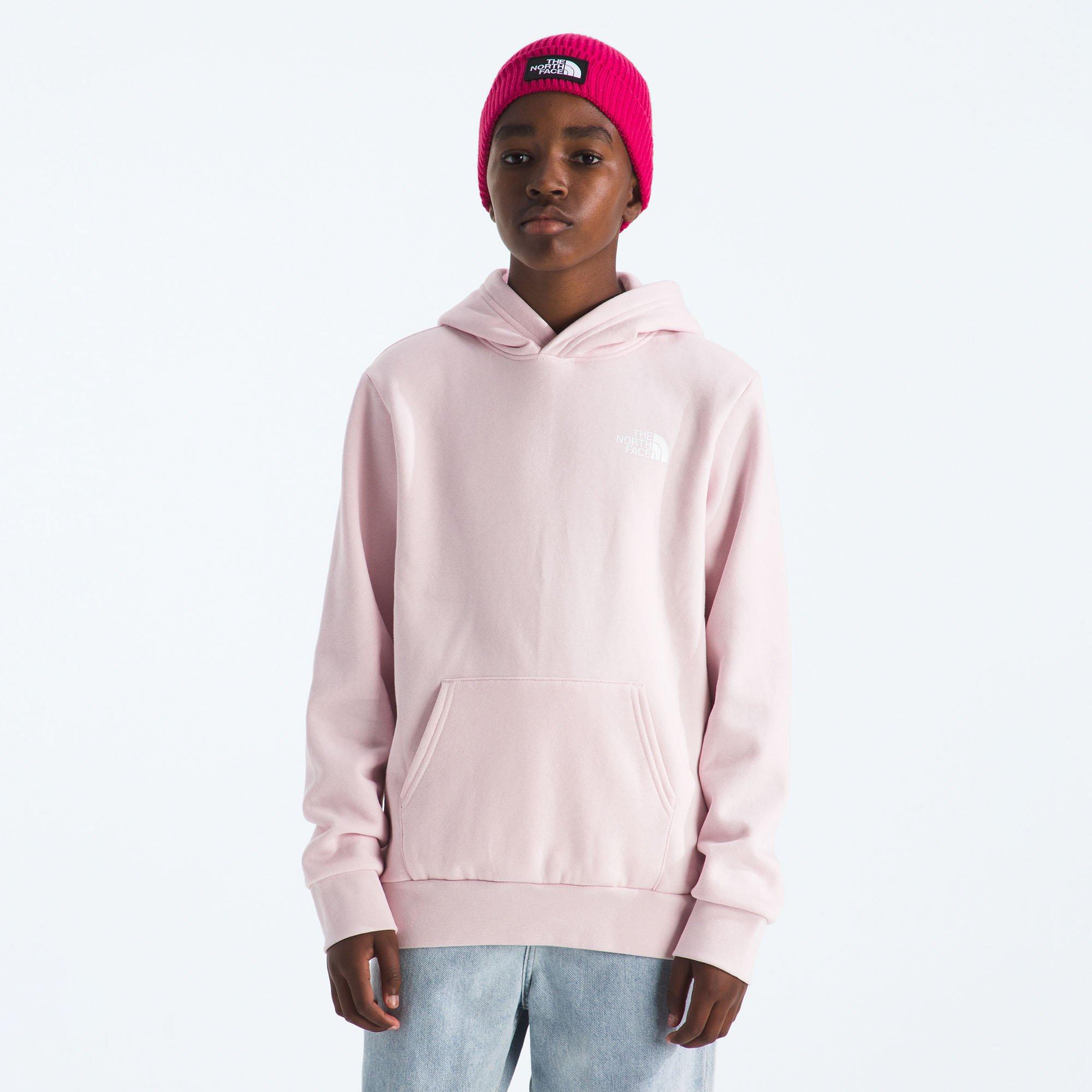 The North Face | Boy's Junior's Evolution Box NSE Hoodie, Pale Blossom/Lali Guran Regenerative Ink Print, Size Medium