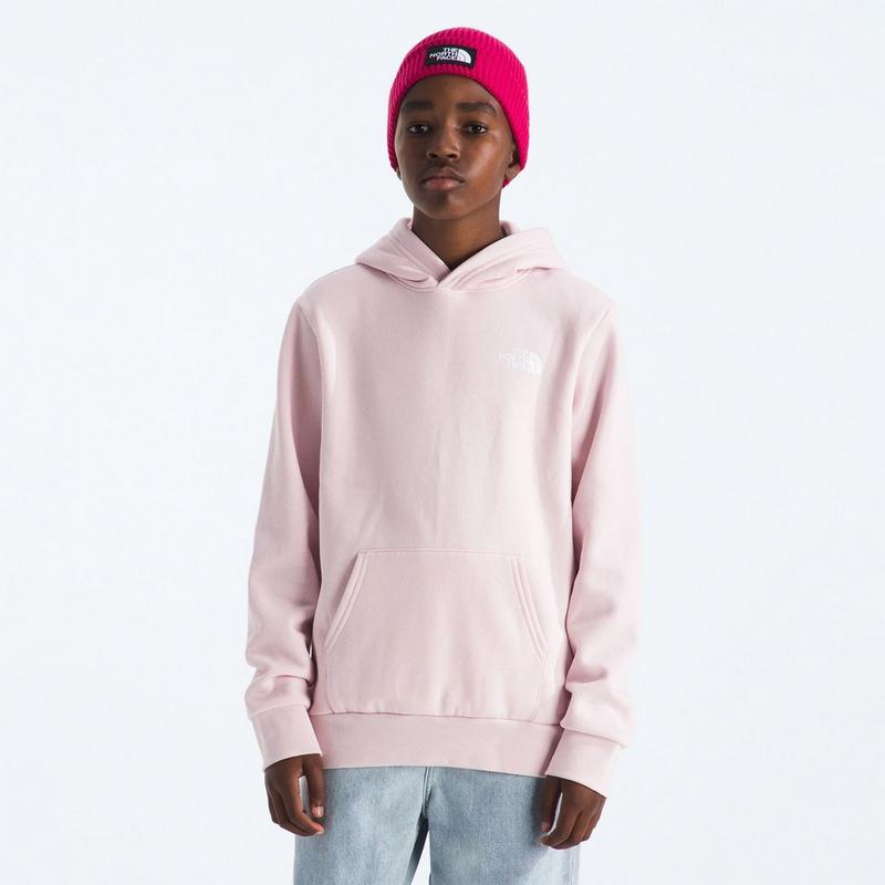 The North Face Chandail &agrave; capuchon Evolution Box NSE pour juniors [7-20]