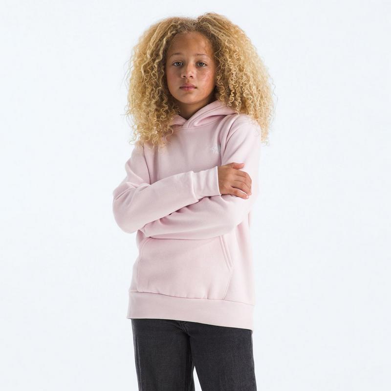 The North Face Chandail &agrave; capuchon Evolution Box NSE pour juniors [7-20]
