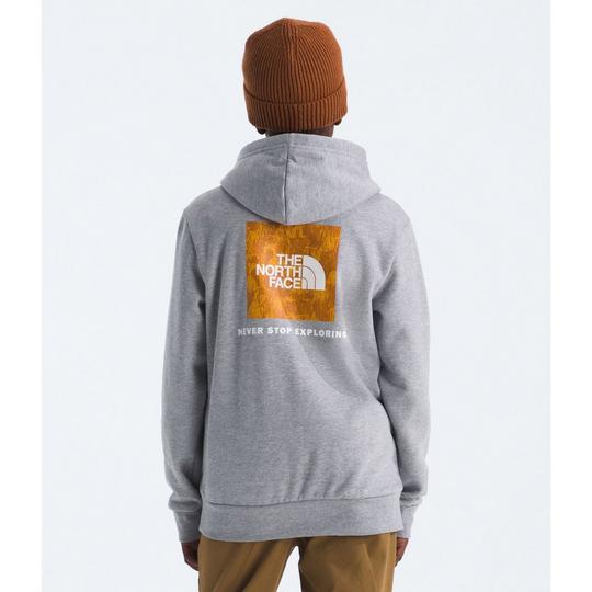 Juniors' [7-20] Evolution Box NSE Hoodie | The North Face