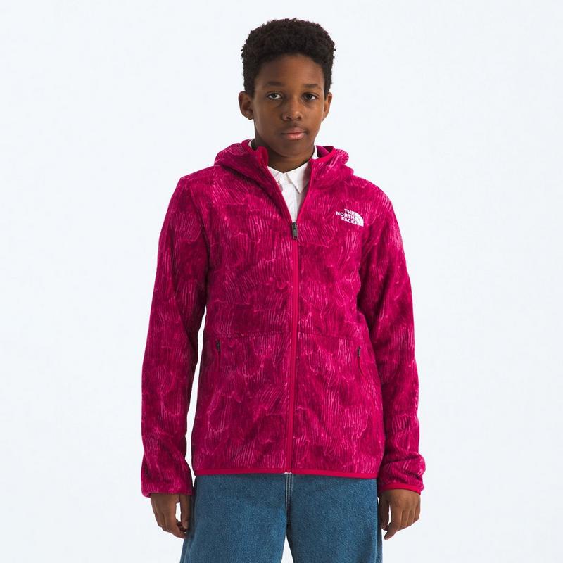 The North Face Veste &agrave; capuchon imprim&eacute;e Glacier &agrave; glissi&egrave;re int&eacute;grale pour juniors [7-20]