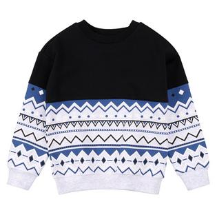Miles The Label Boys' [2-10] Fair Isle Sweatshirt
