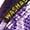 Camo/Tillandsia purple