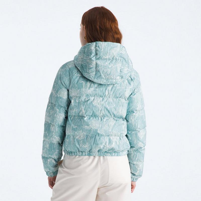 The North Face Women's Printed Hydrenalite Down Hoodie Jacket