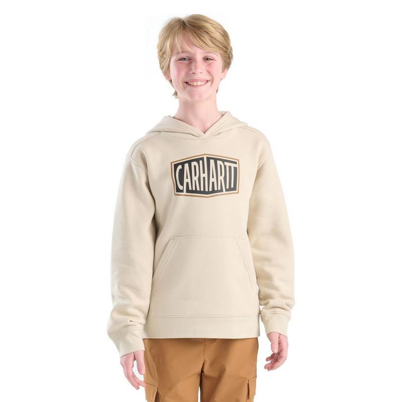 Carhartt Chandail &agrave; capuchon graphique pour gar&ccedil;ons [4-7]