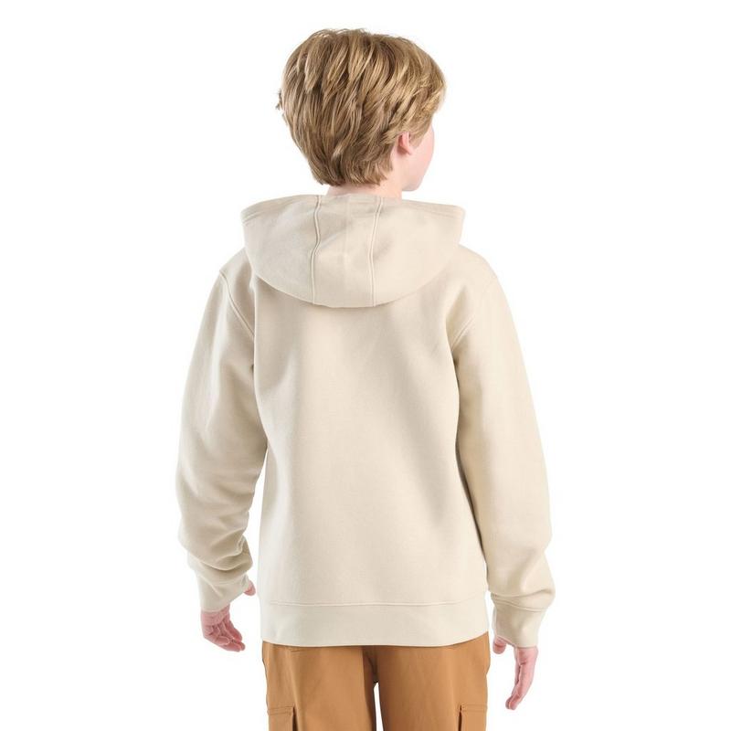 Carhartt Chandail &agrave; capuchon graphique pour gar&ccedil;ons [4-7]
