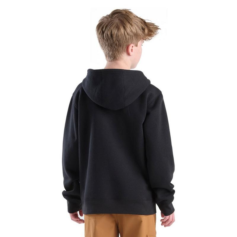 Carhartt Junior Boys' [8-16] Graphic Pullover Hoodie