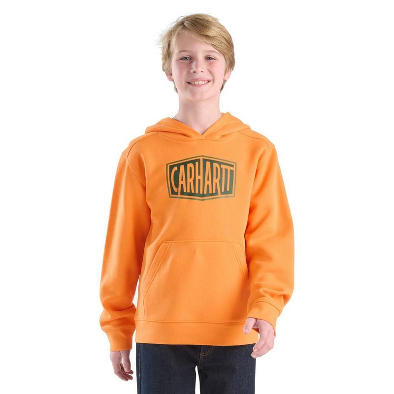 Carhartt Chandail &agrave; capuchon graphique pour gar&ccedil;ons juniors [8-16]