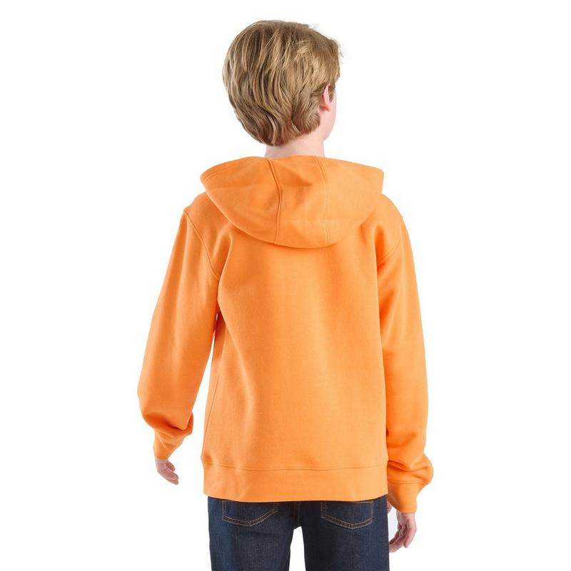 Carhartt Chandail &agrave; capuchon graphique pour gar&ccedil;ons juniors [8-16]