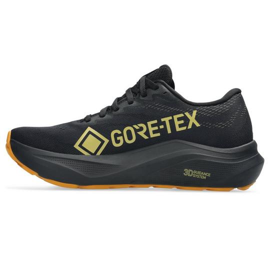 Women's GT-2000 14 GTX Running Shoe | Asics | Sporting Life