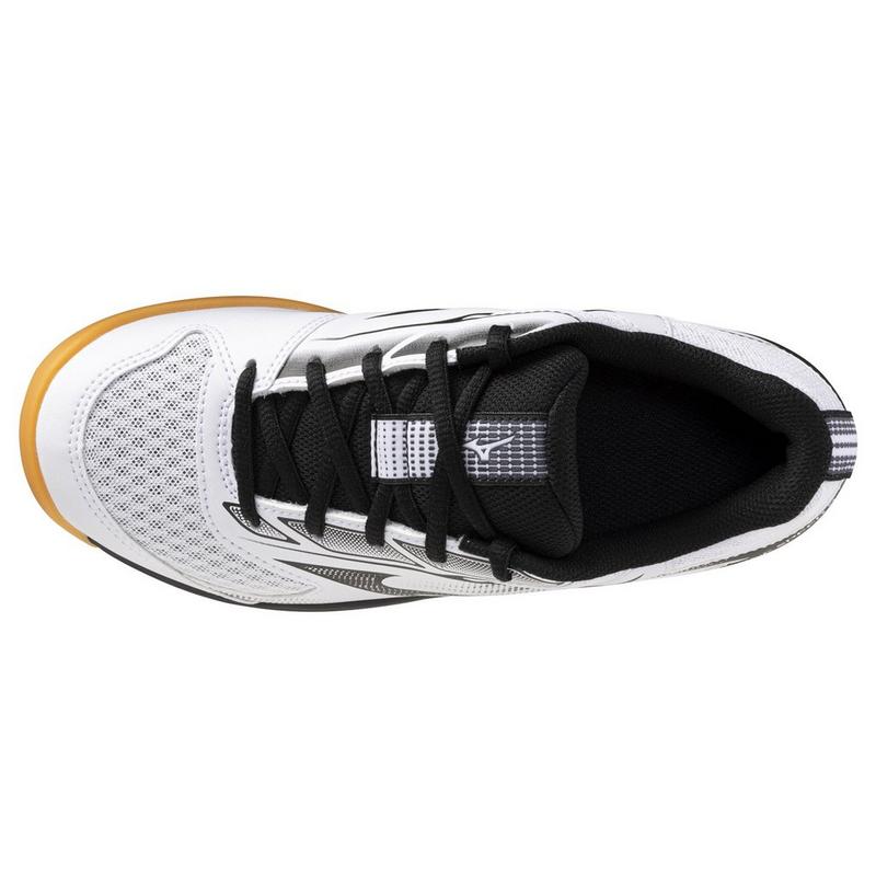 Mizuno Chaussures de volleyball Cyclone Speed 5 pour hommes