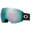 Flight Deck  153  Pro L Snow Goggle