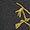 24K Black | Mantis 1 Waist Pack