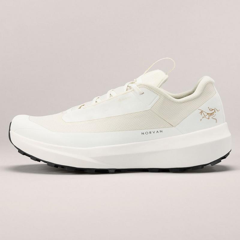 Arc'teryx Chaussures de course sur sentiers Norvan LD 4 GTX pour femmes