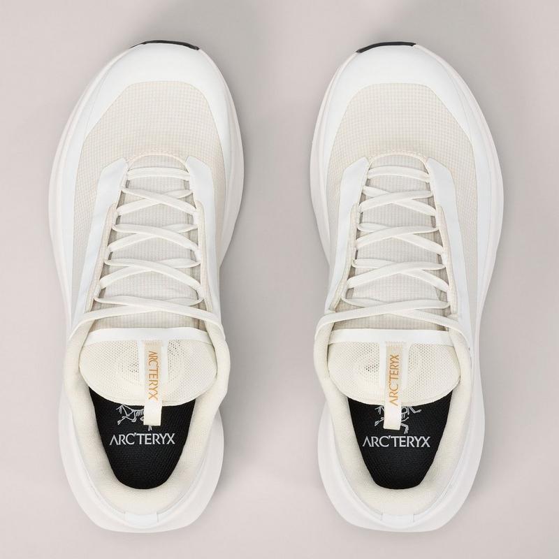 Arc'teryx Chaussures de course sur sentiers Norvan LD 4 GTX pour femmes