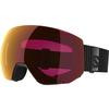 Lunettes de ski Radium Pro Sigma