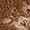 Caramel Floral | Women's Poppy Sherpa Half-Zip Pullover Top