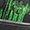 Black / Green Strike / Vivid Purple | Chaussures Force 1 Low LV8 pour enfants [11-3]