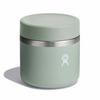 Contenant alimentaire isol   20 oz 