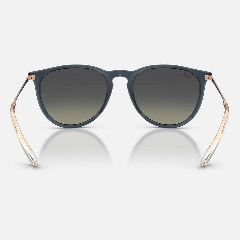 Ray-Ban Erika Sunglasses