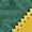 Bold Green / Yellow | Chaussures Tokyo pour femmes