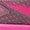 Pink Heat Rosewood | Chaussures de course FuelCell Rebel v5 pour femmes