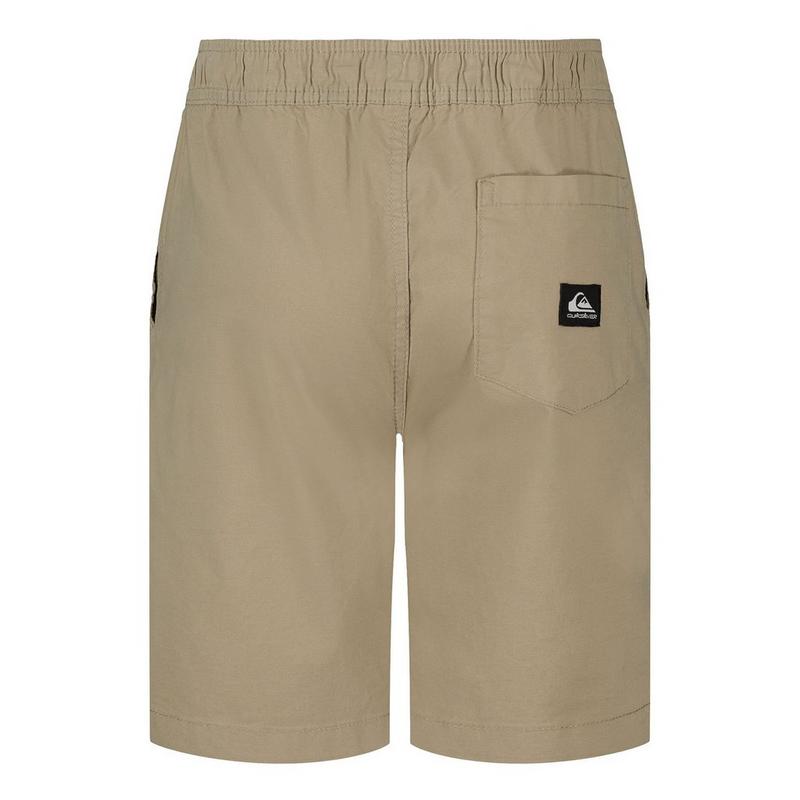 Quiksilver Short Taxer pour gar&ccedil;ons juniors [8-16]