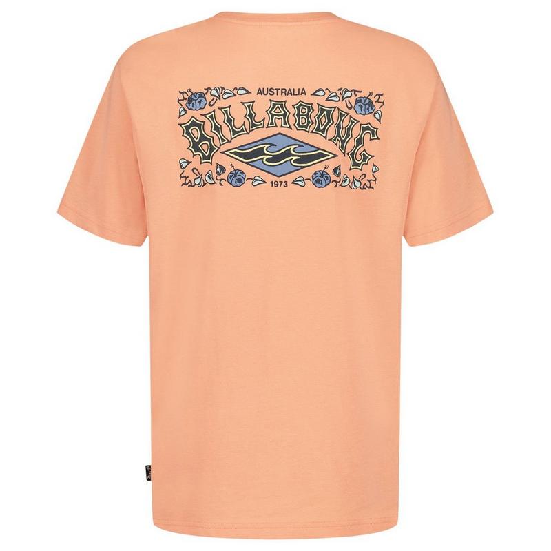 Billabong T-shirt Heritage Arch pour gar&ccedil;ons [2-7]